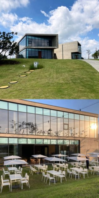  빽가 제주도 커피숍 카페