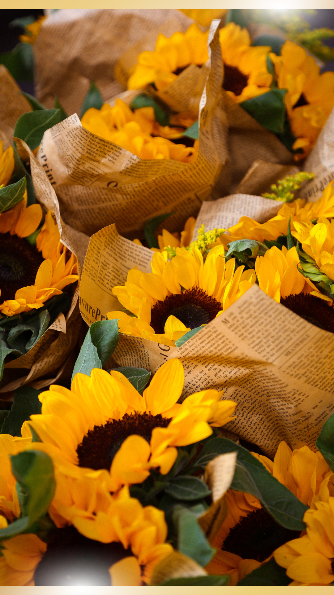 돈 들어오는 그림 해바라기 황금돼지 재물 바탕화면