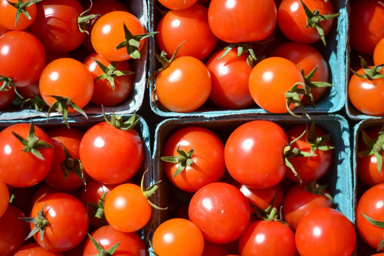 다이어트 중에도 OK! 먹어도 살 안찌는 간식 BEST 6