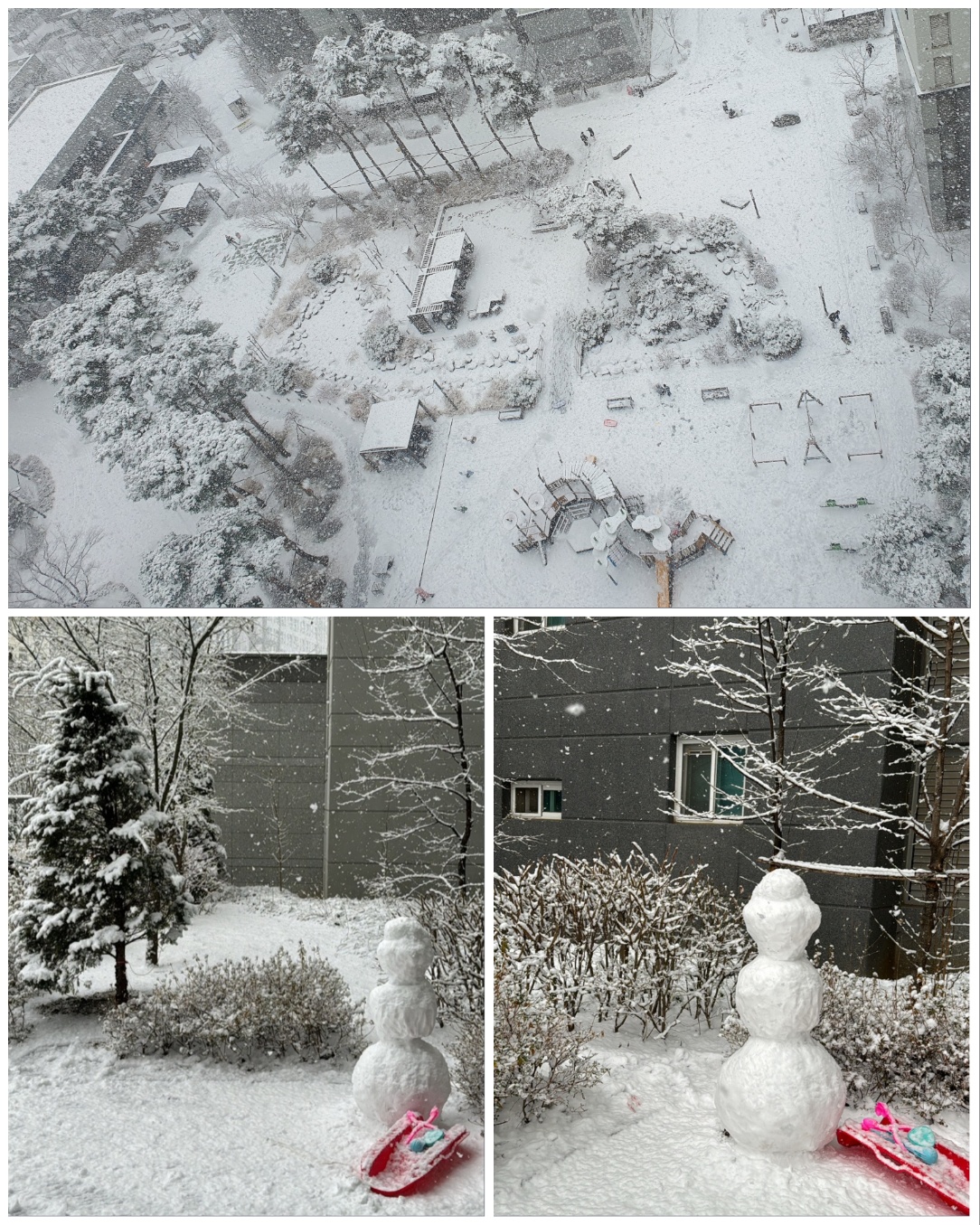 예쁜-세상처럼-예쁜-노래를-소개합니다.