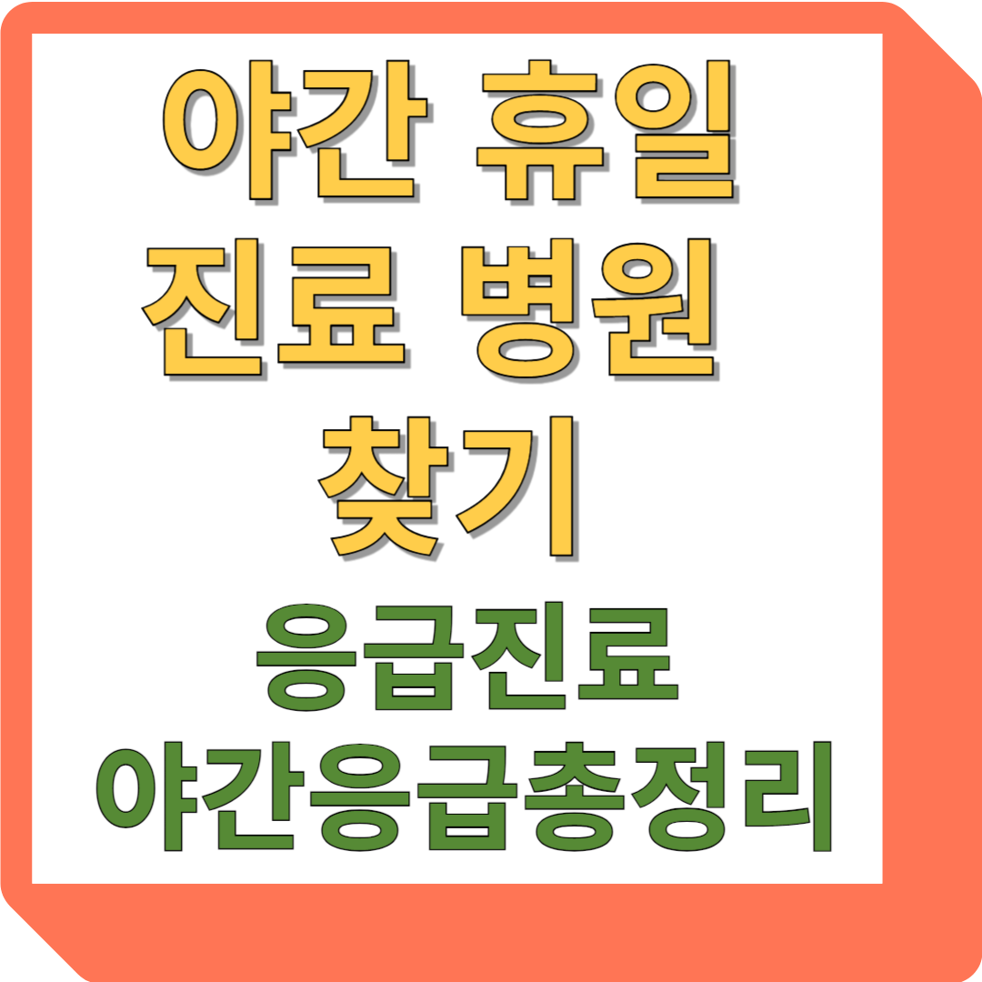 야간 휴일 진료 병원