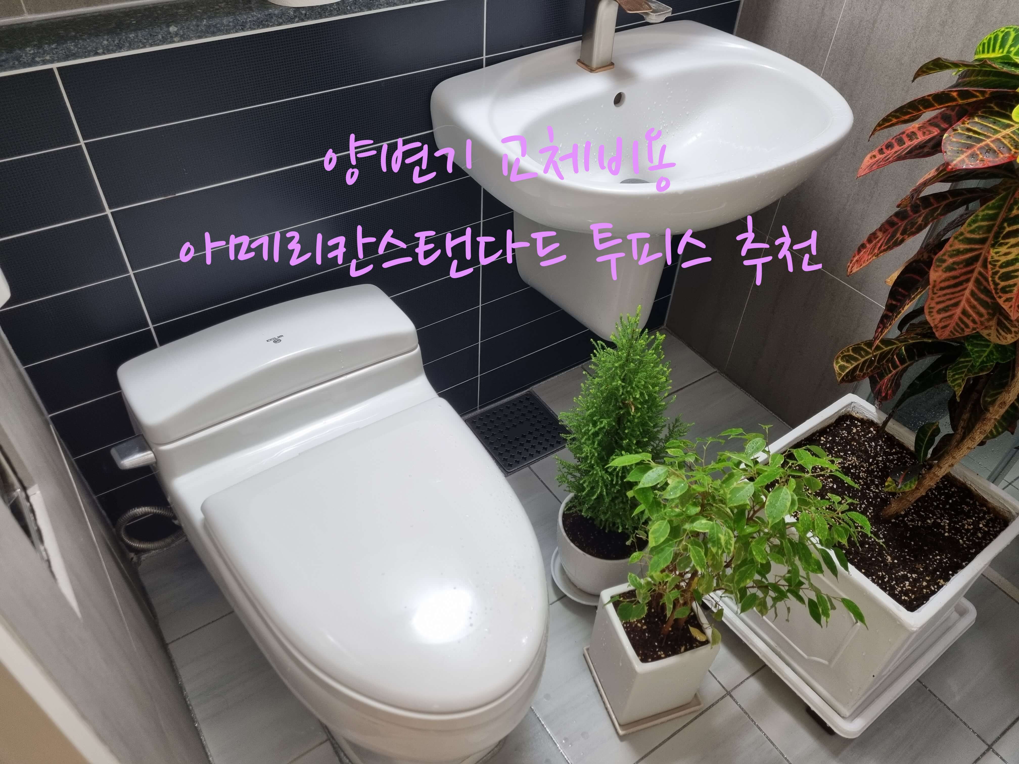 양변기 교체비용