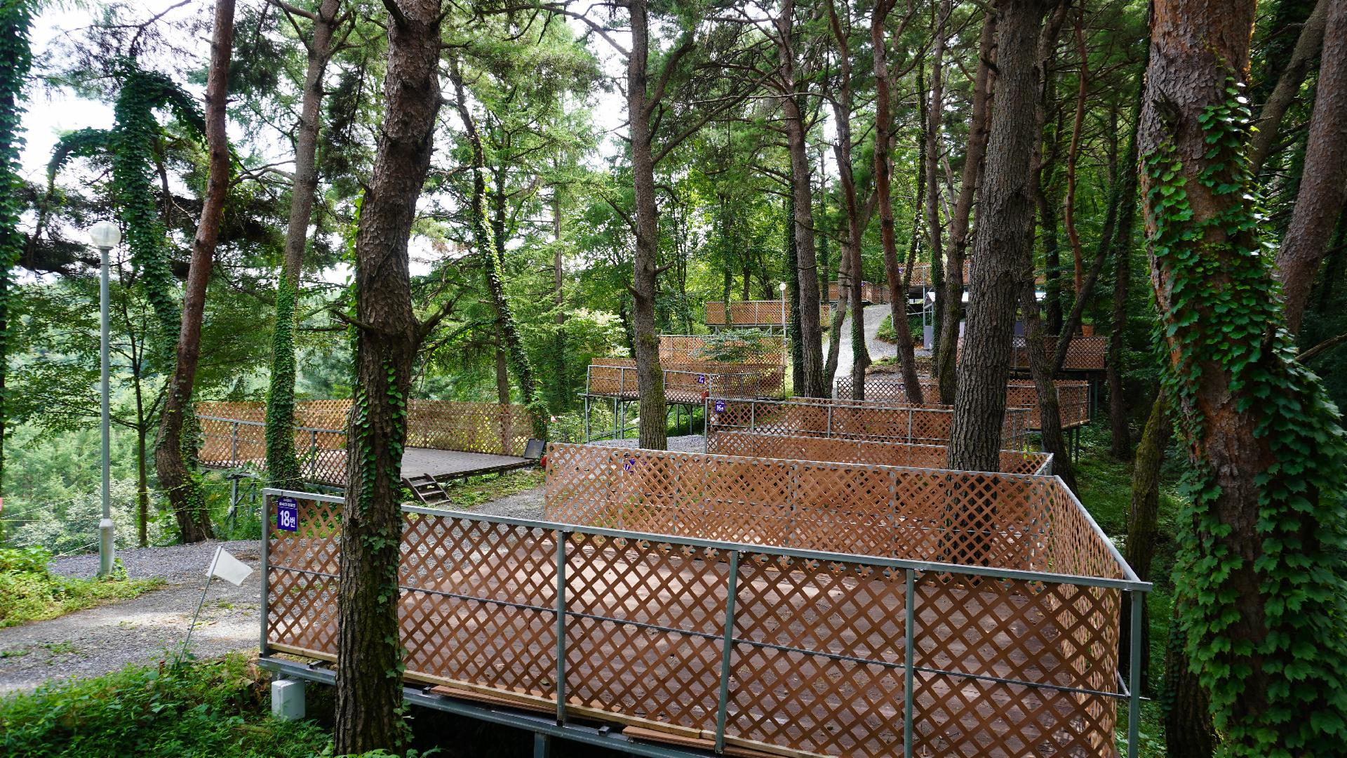 영월군 숲속의 눈물 캠핑장 예약 바로가기