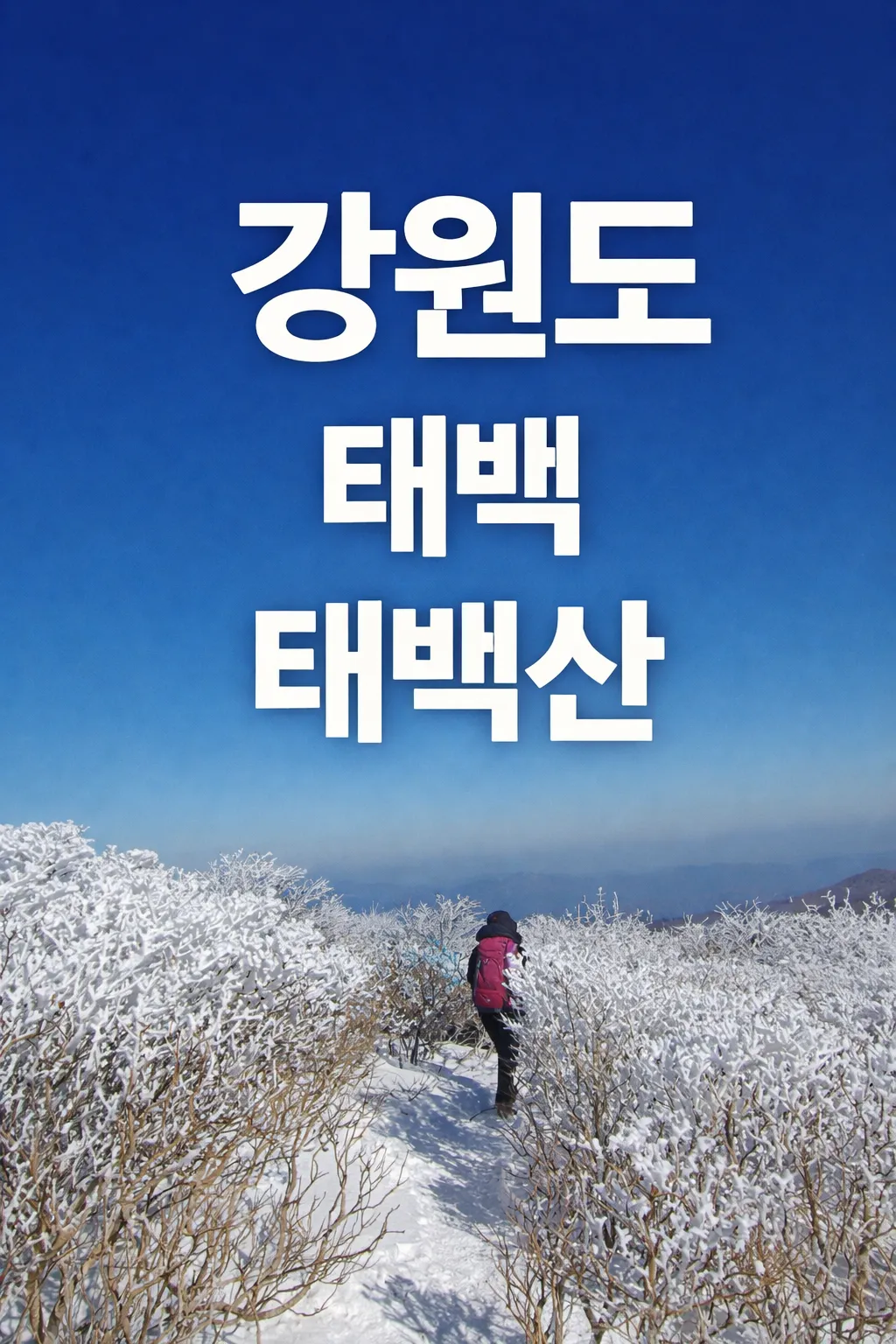 강원도 태백 태백산 눈꽃 축제 트레킹 시간 교통 투어