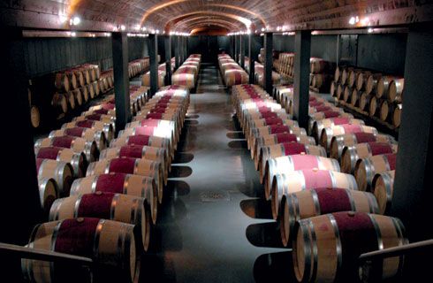 샤르도네(Chardonnay)