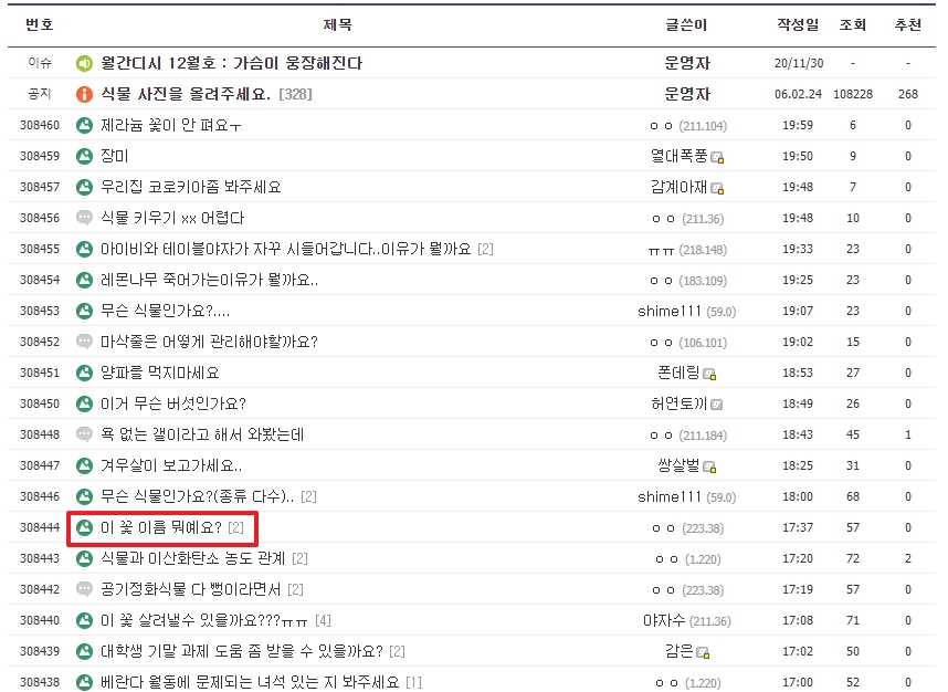 식물갤러리에서 다른 이용자가 올린 화초 이름 질문 게시물