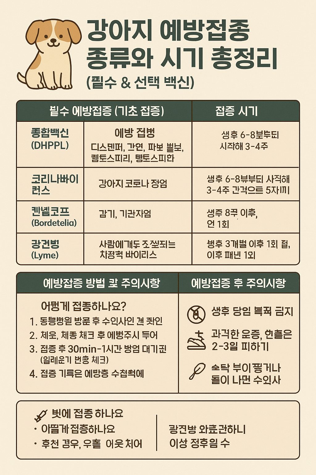 강아지 예방접종시기 이미지 사진