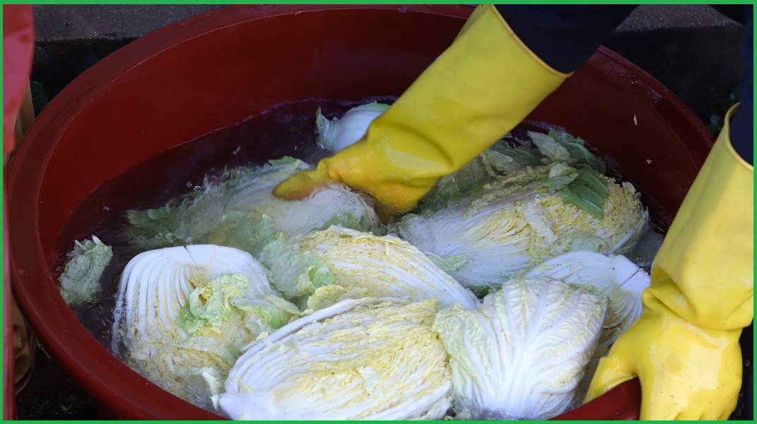 맛있게-김장-하는법