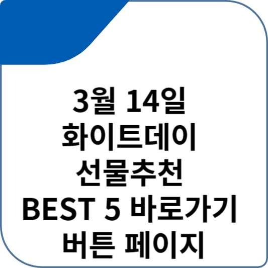 3월 14일 화이트데이 선물추천 BEST 5 바로가기 버튼 페이지
