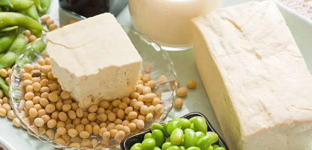 식물성 단백질 관련 사진