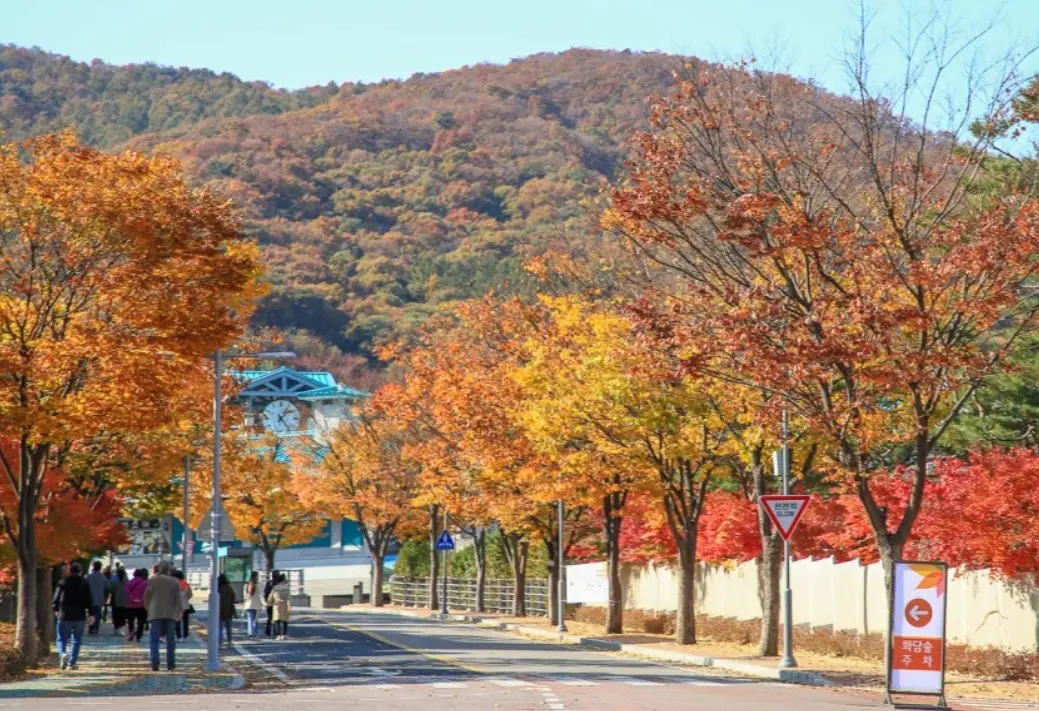 화담숲 위치