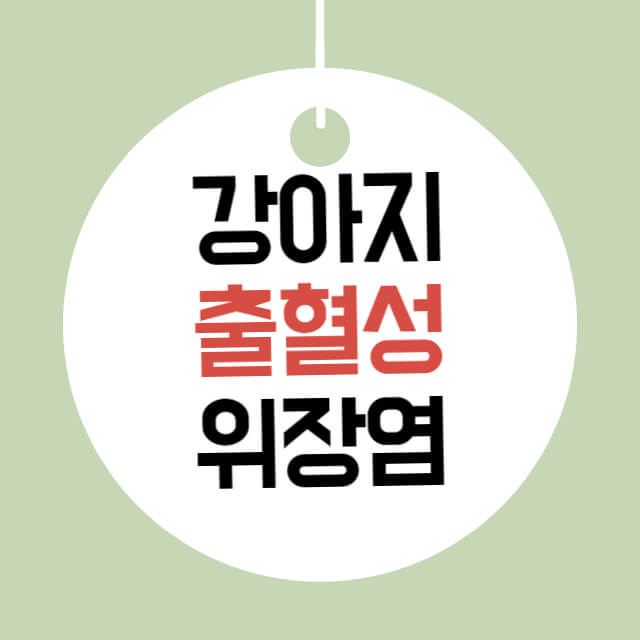 강아지검은설사 흑변 혈변