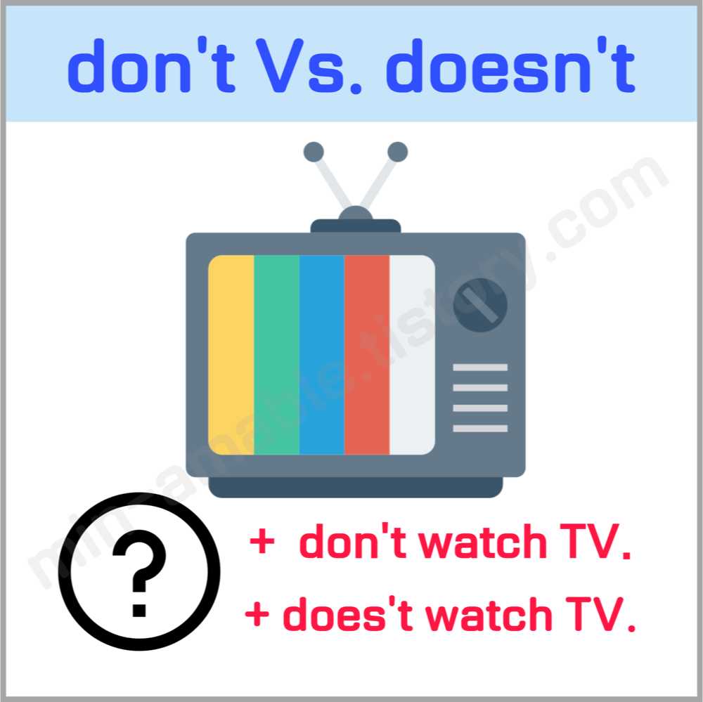 don't와doesn't차이