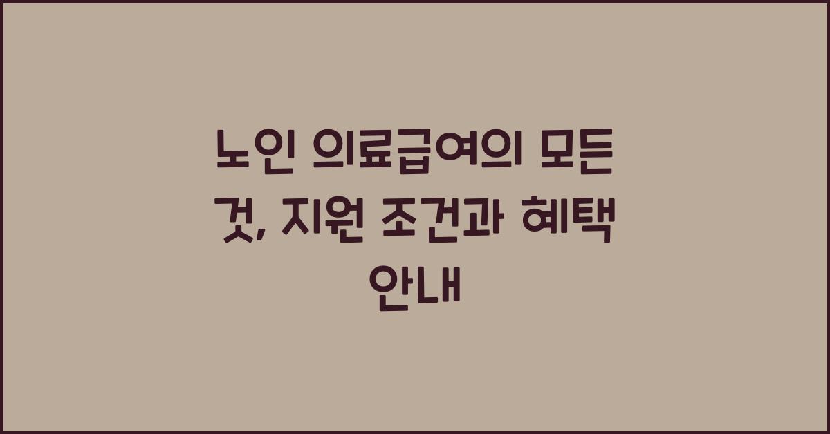 노인 의료급여