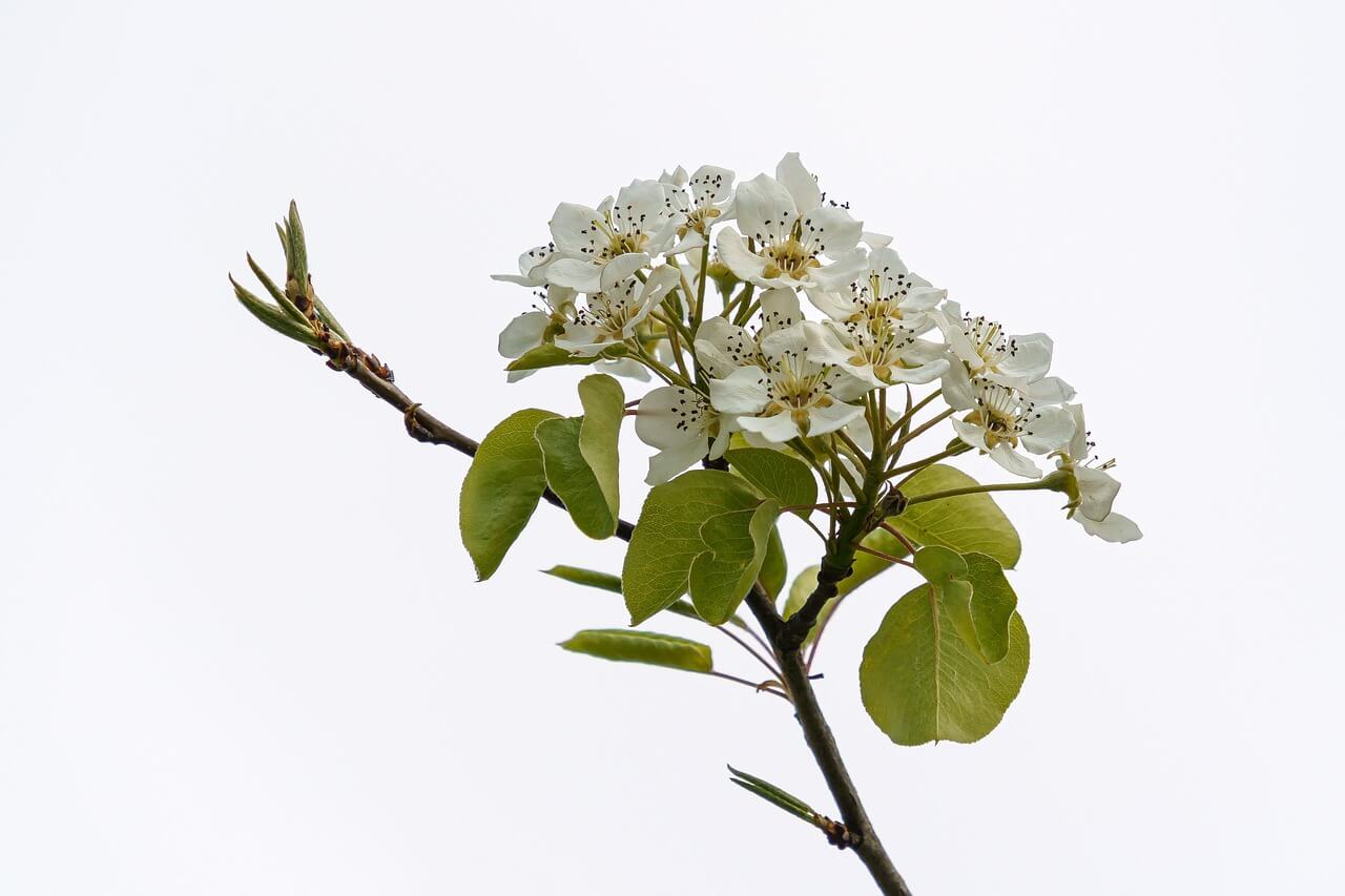 연말정산 환급금 모의 계산 조회 방법