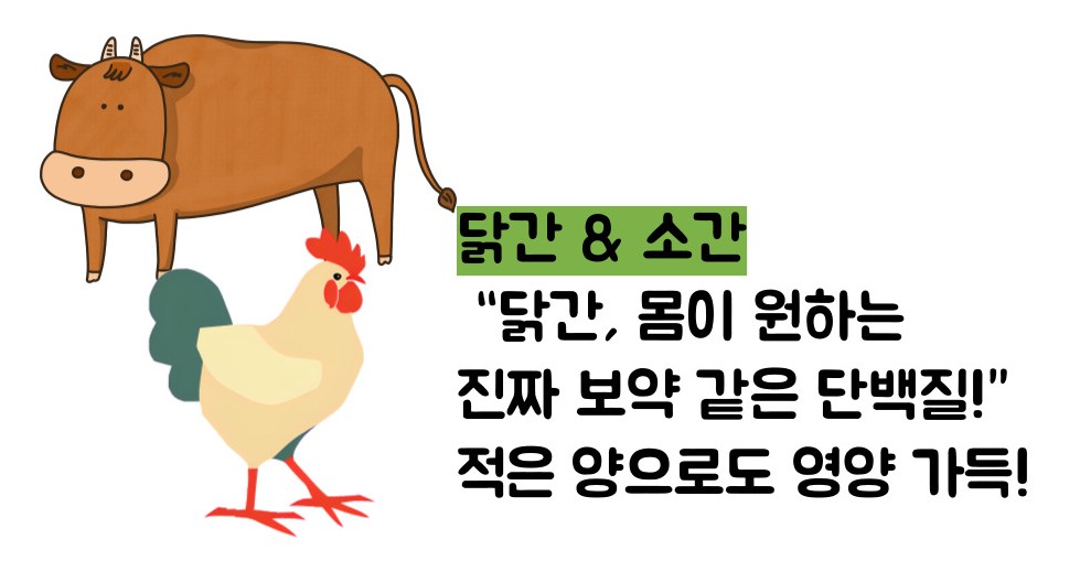 단백질 많은 음식