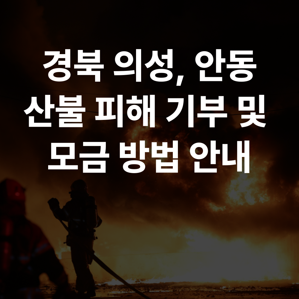 경북 의성, 안동 산불 피해 기부 및 모금 방법 안내