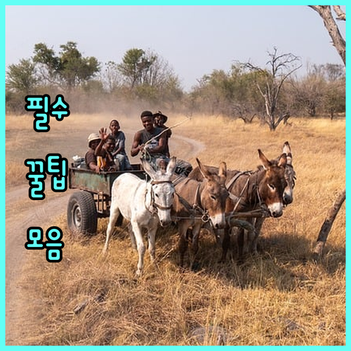 최신 리프팅 기기 비교, 나만을 위한