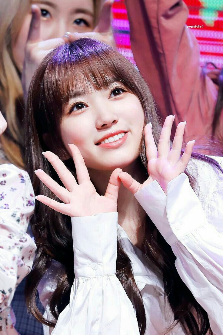아이즈원 야부키나코 아이즈원 야부키나코