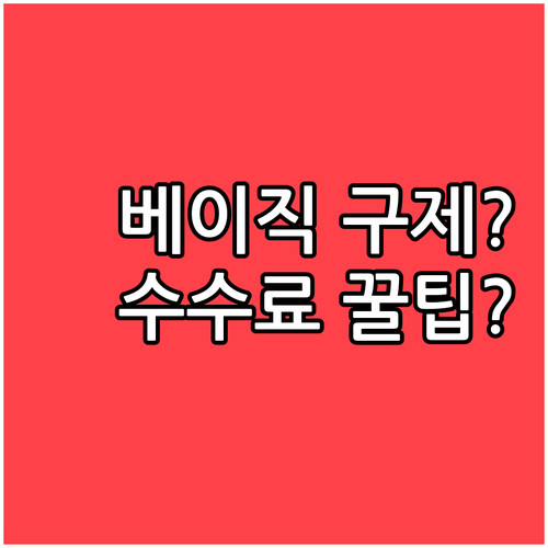 베이직 이코노미도 구제받는다? 아메리..