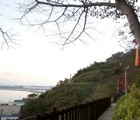 동해 가볼만한곳 베스트10