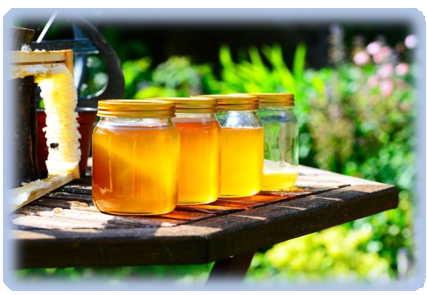 기관지에 좋은 천연꿀