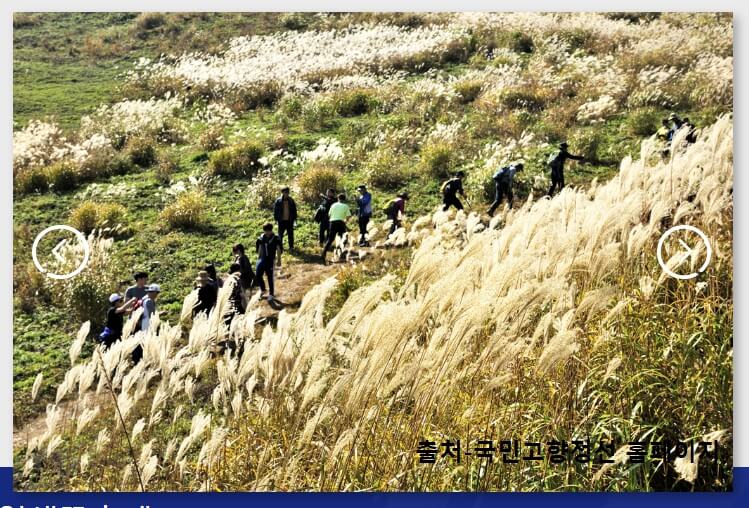 민둥산-억새축제