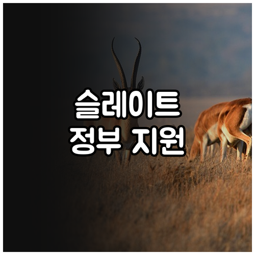 2025 노후 슬레이트 지붕 해결: ..