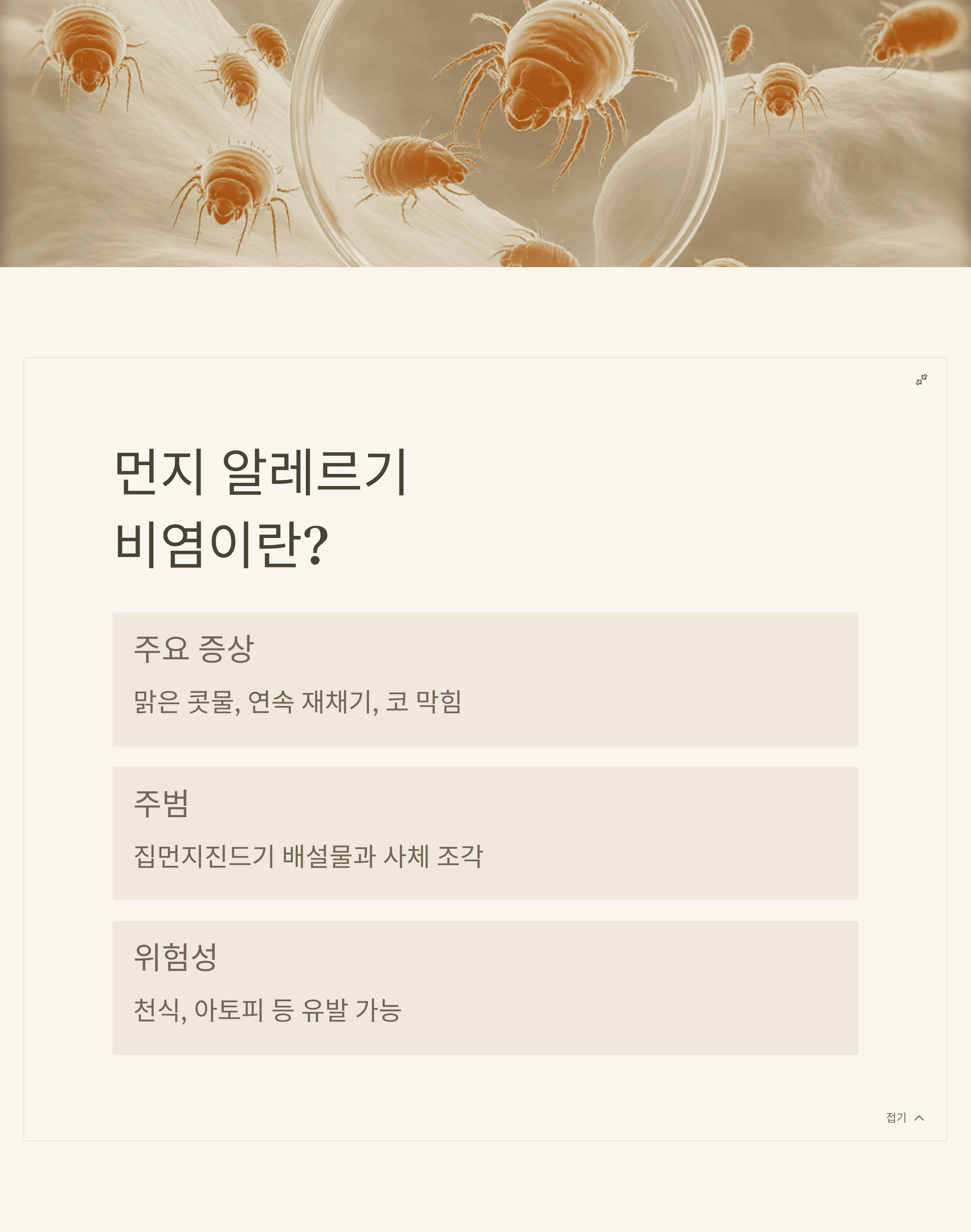 먼지 알레르기 비염! 증상 완화와 완벽 퇴치를 위한 필승 전략