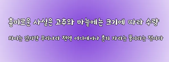  흥미로운 사실은 고추와 마늘에는 크기에 따라 수량 차이는 있지만 우리나라 전역 어디에서나 흔히 자라는 풀이라는 점이다