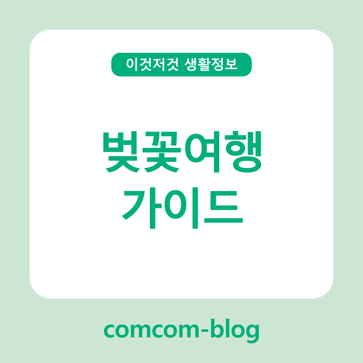 벚꽃 여행 가이드: 로맨틱한 봄날을 위한 완벽한 계획