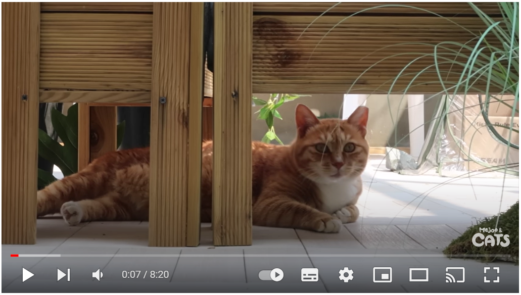 오들이 진짜 살 빠진 거 맞나요?ㅎ 몸무게를 재보았다