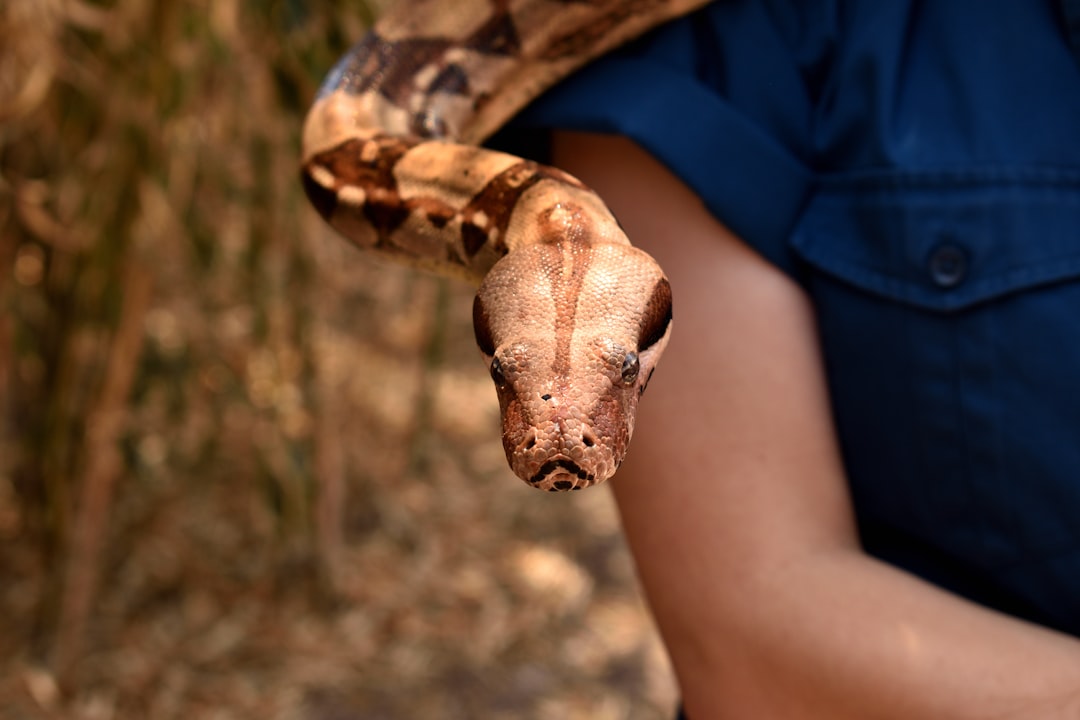 Handler