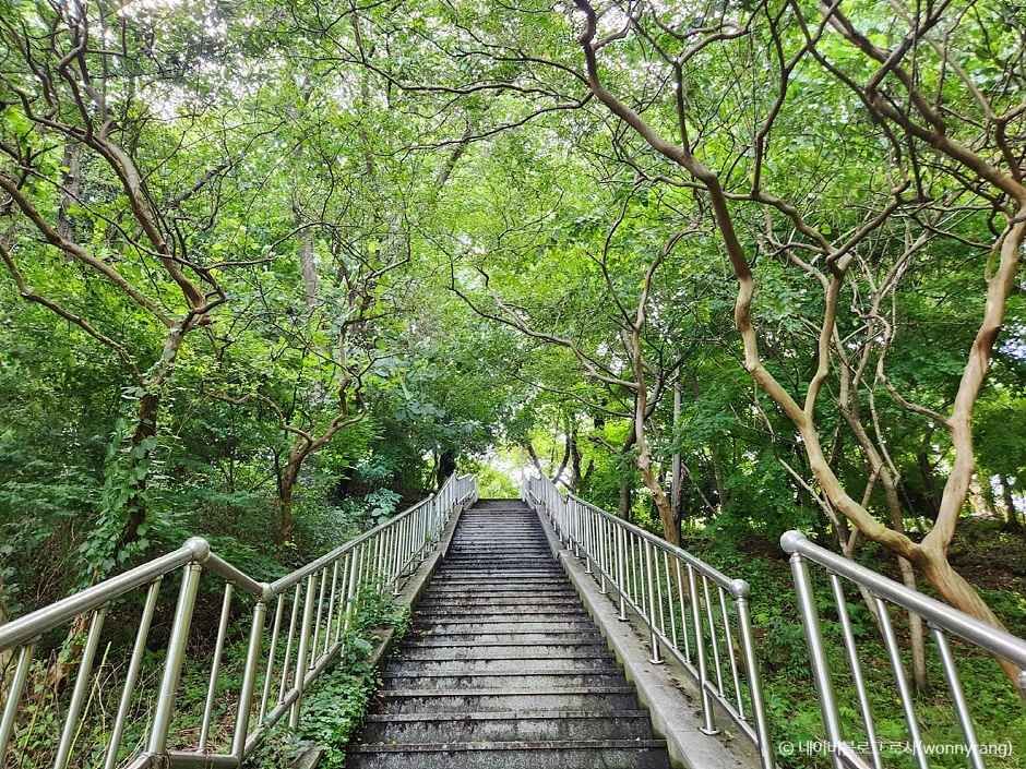 군산 가볼만한곳 베스트10