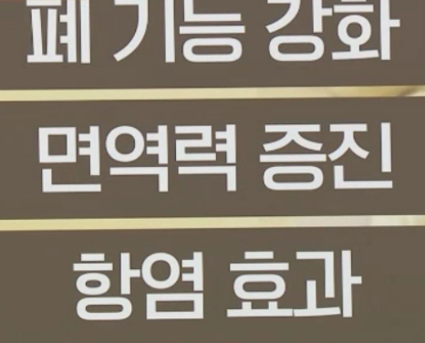 맥문동 효능
