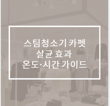 스팀청소기 카펫 살균 효과 온도·시간 가이드