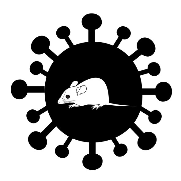 신증후군출혈열