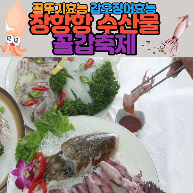 꼴뚜기효능 갑오징어효능 장항항 수산물 꼴갑축제