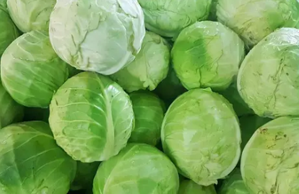 장염에 좋은 음식