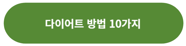 다이어트 방법 10가지