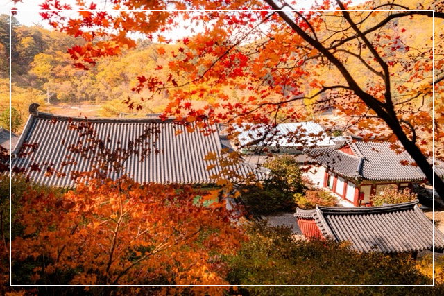 홍천 수타사 이미지