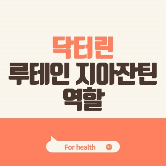 표지 사진