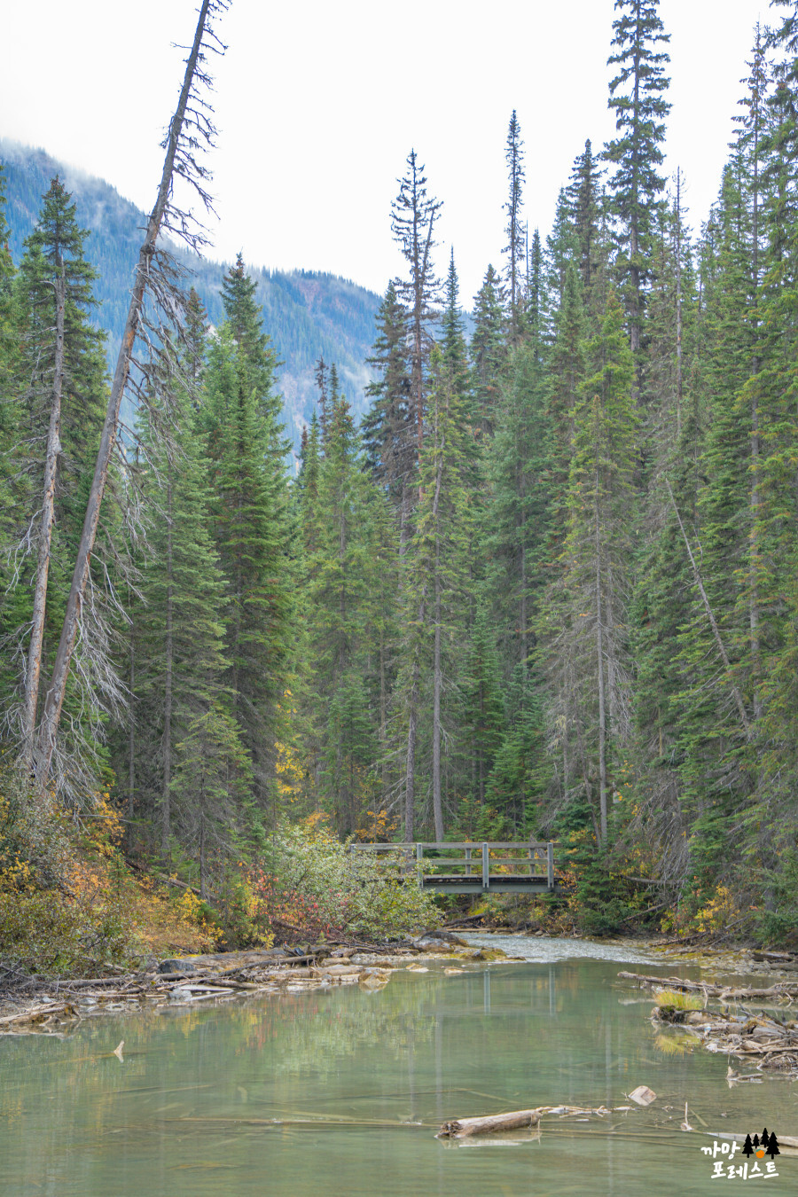 캐나다 에메랄드 호수