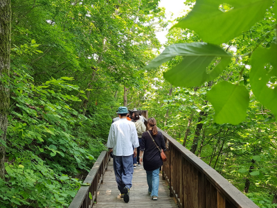 국립산림치유원 예약 방법 이용 가격