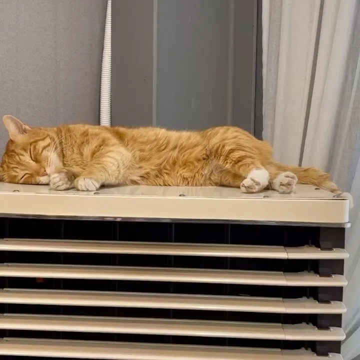 하정우_인스타그램_이미지