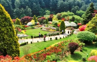 아침고요수목원 입장료 근처 맛집 펜션 추천_31