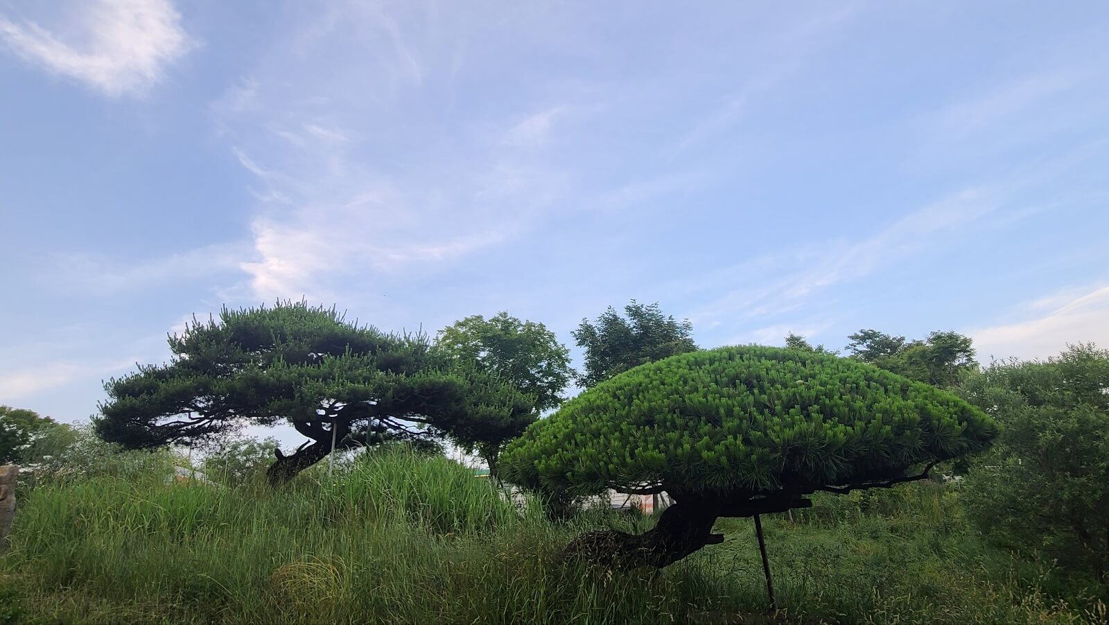 목장13