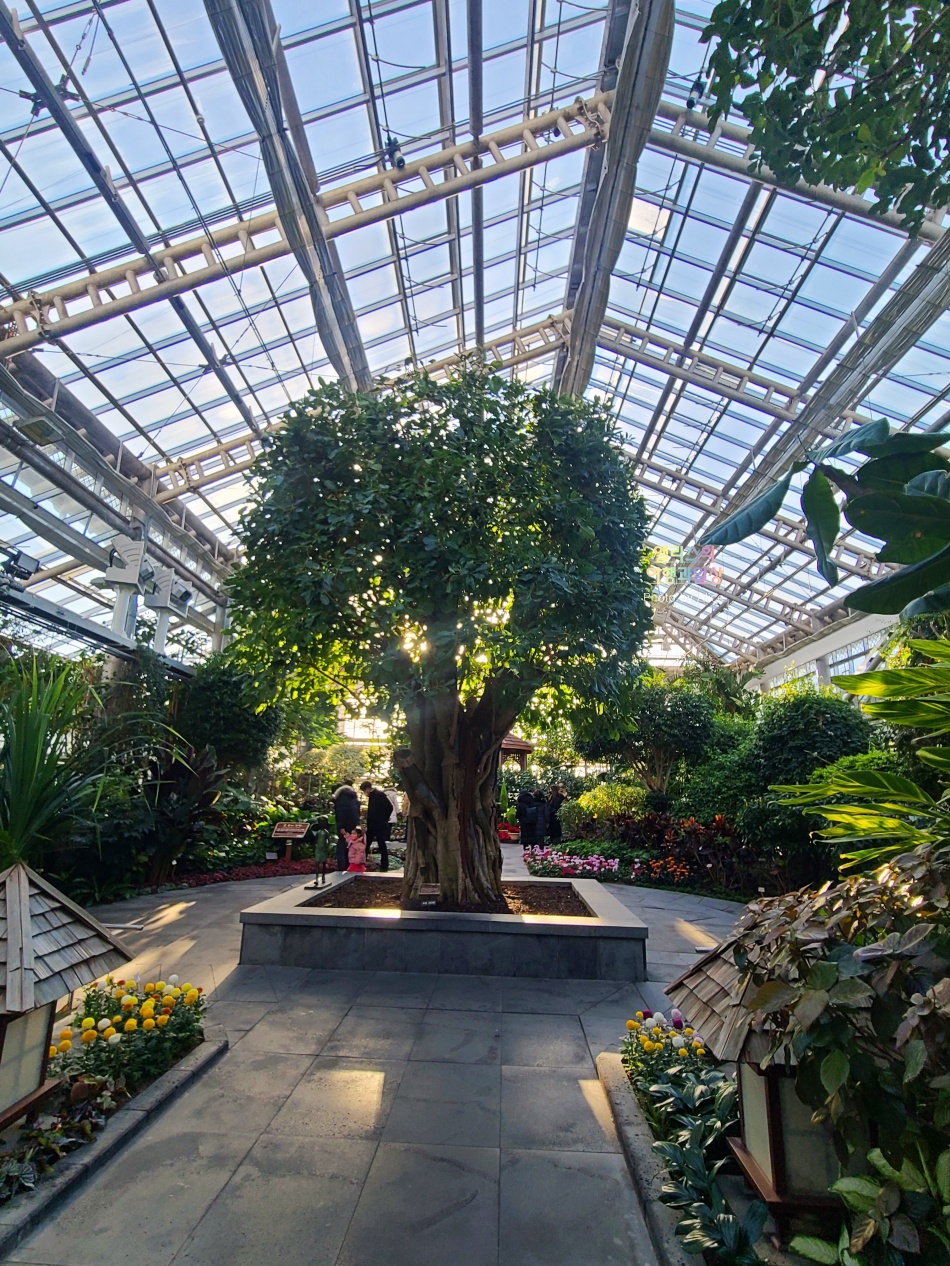 경주 동궁원 식물원 스카이워크 경주 가볼만한곳