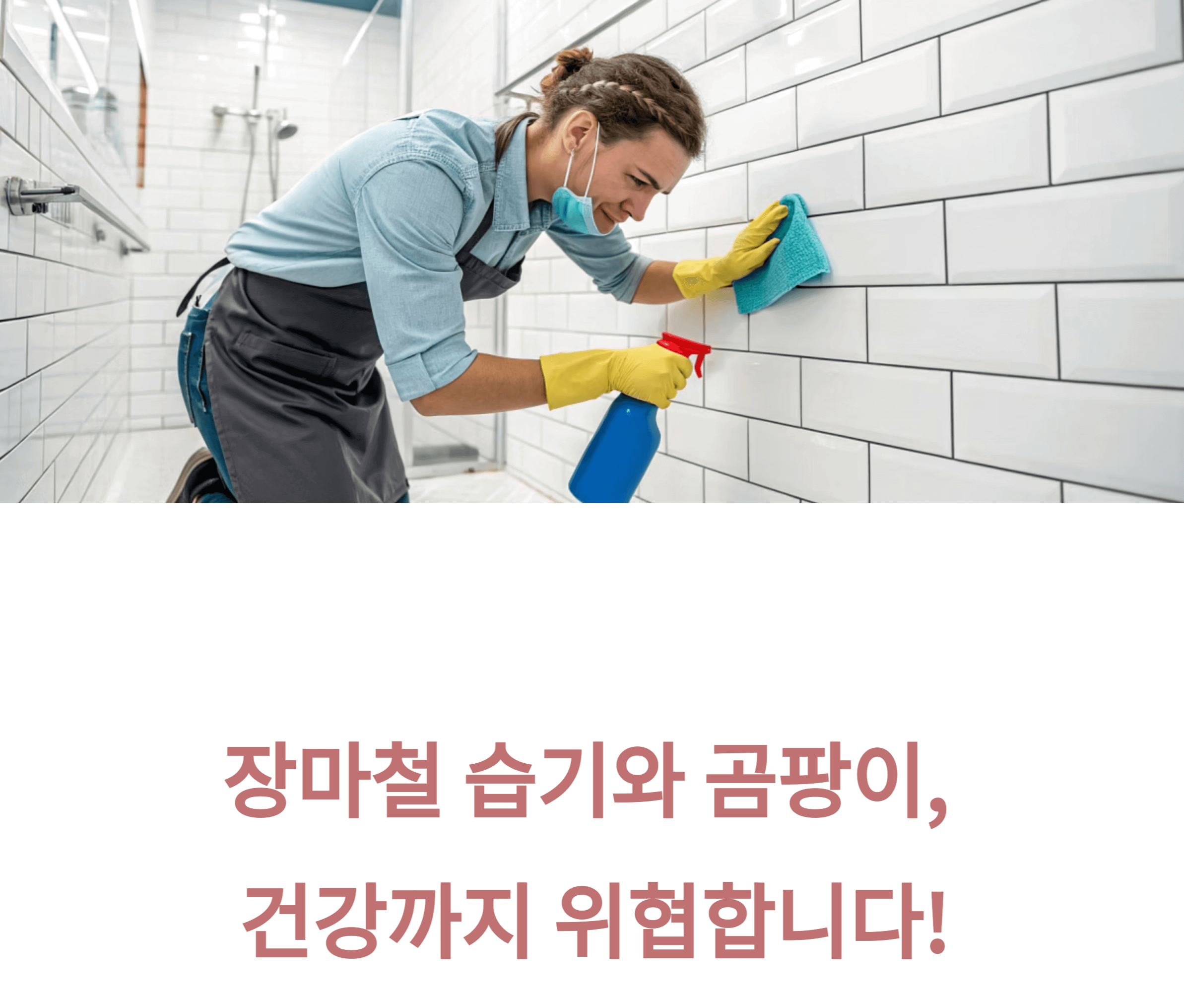 장마철 곰팡이 관련 사진