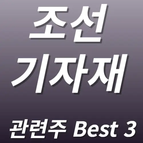 조선기자채 관련주 수혜주